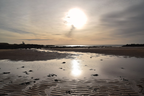 Fife Coastal Path from Elie to Elie Chain WalkWhen I spotted something that looked like a cave in th