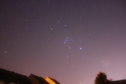 theastrokid:  The constellation of Orion