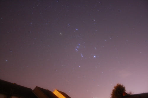 thisisastronomical: The constellation of Orion and a meteor from last nights Geminids shower.