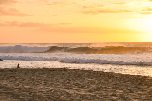 Sex highenoughtoseethesea:  Goodnight, Oahu pictures