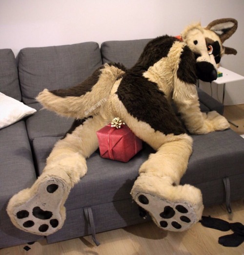 Remember @FursuitButts over on Twitter?Well, they MADE A TUMBLR BLOG!!!***CLICK HERE AND FOLLOW THEI