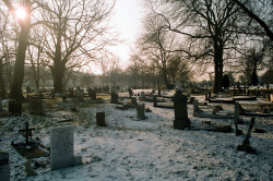 taphophilia:   	Camberwell Old Cemetery by