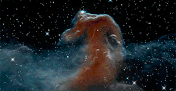 child-of-thecosmos:  Flying Across The Universe (From Top to Bottom: Horsehead Nebula, Orion Nebula, Eagle Nebula, Tarantula Nebula, and NGC 3603)Credit: ESA/Hubble @ spacetelescope.org