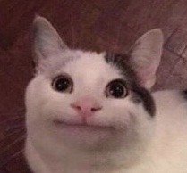 swoopingsnitchbug:  someonekilljeffbezos:     