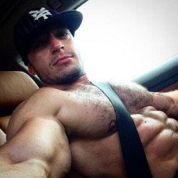 ultimate-men:  follow ultimate men!blog &gt; companion blog &gt; twitter