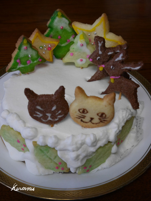 kerovous:Own picture : # 280,  My cat Sumomo 21years old and          