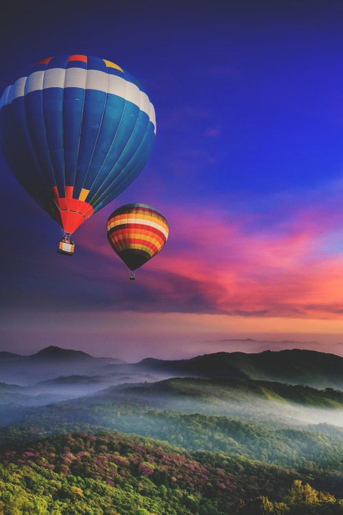 wnderlst:  Doi Inthanon National Park, Thailand ↝ Anek S           