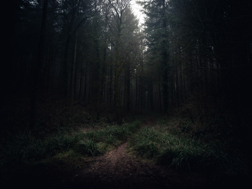 March ForestPhotographed by Freddie Ardley - Instagram @freddieardley