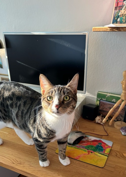 Hes Smol But Full Of Trouble! Welcome To Our Family, Tadej Pogaar