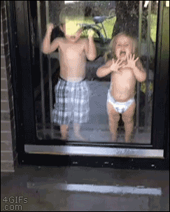 blaisebecool:4gifs:What he lacks in common sense he makes up for with lovehe saved her 😂