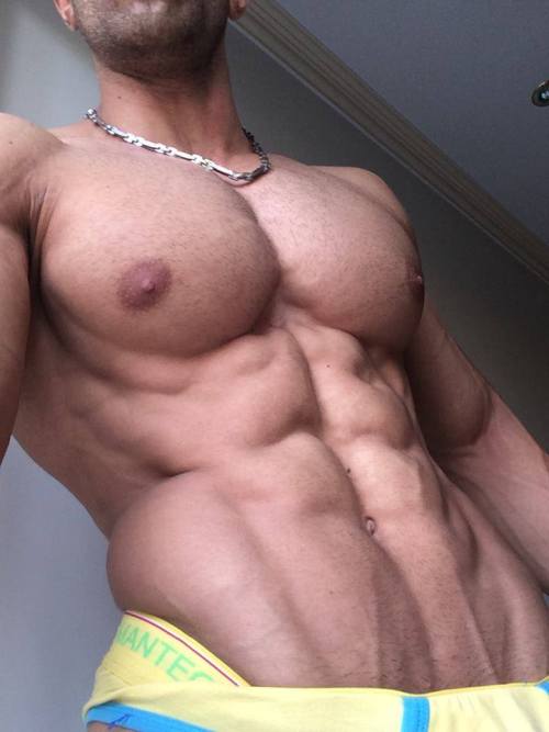 shredded 