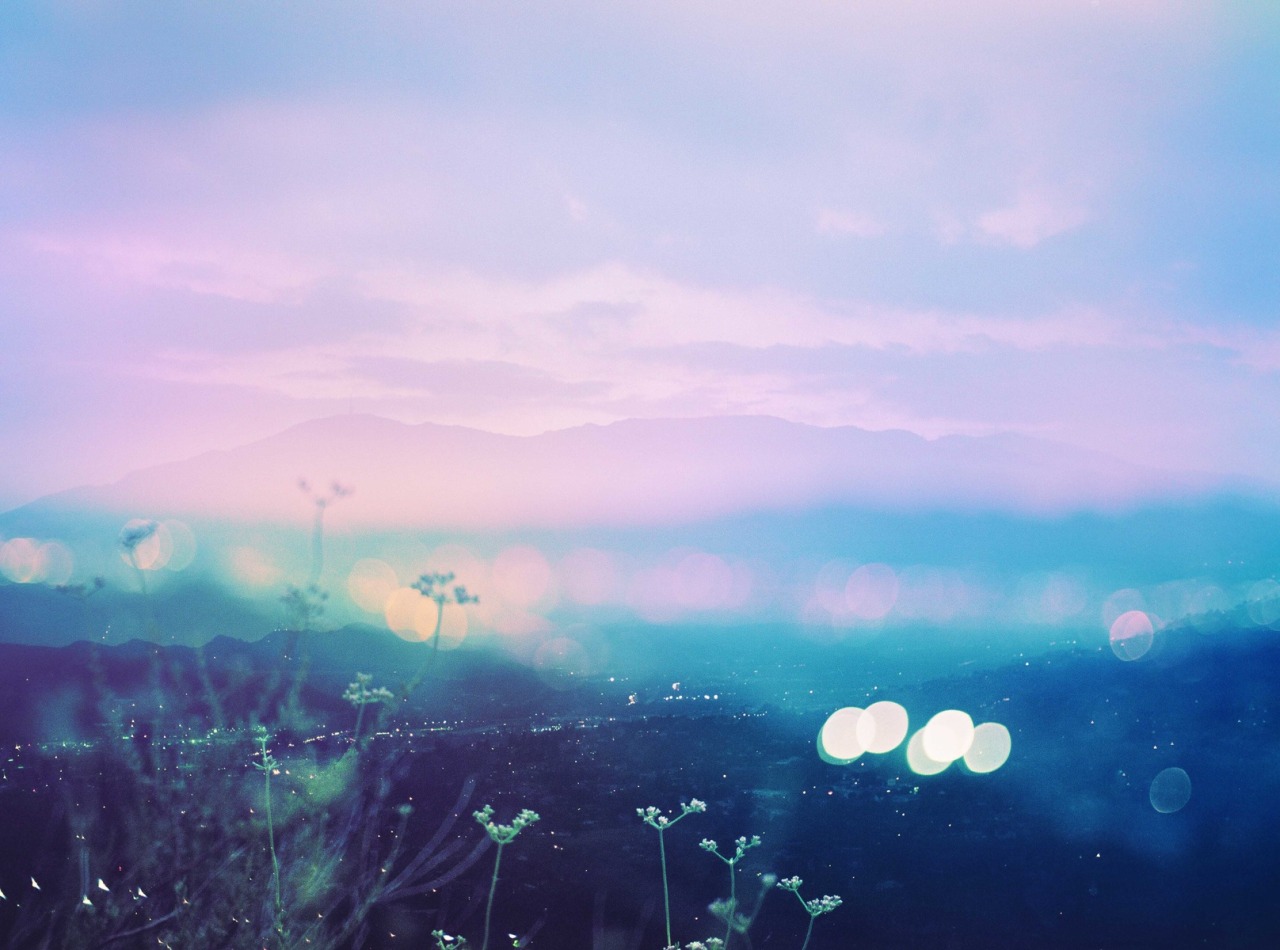 landscape-photo-graphy:  Plantraits by Anthony Samaniego Los Angeles-based photographer Anthony