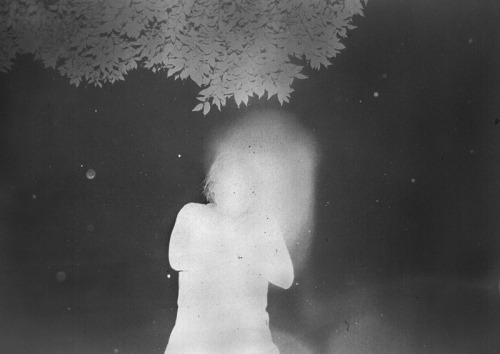 arpeggia:  Daisuke Yokota - Back Yard, 2011