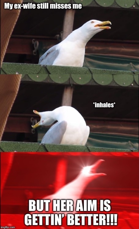 stonesabre:  I looked around the seagull meme tag for five minutes and didn’t see this, so I made one.
