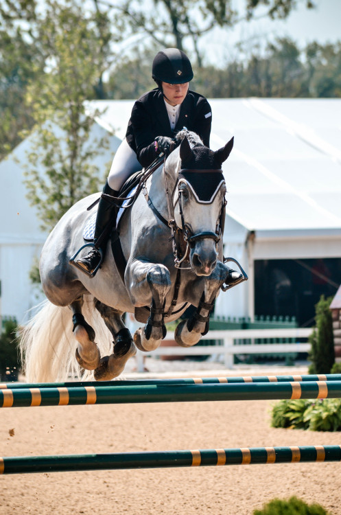 nsphotographs:Nicole Schultz Photography 2015 // NAJYRC 2015.