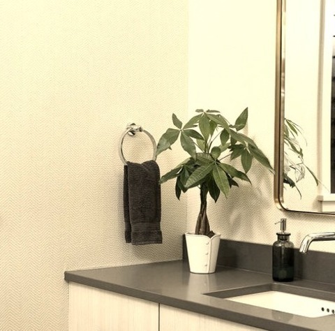 Grand Rapids Bathroom Powder Room