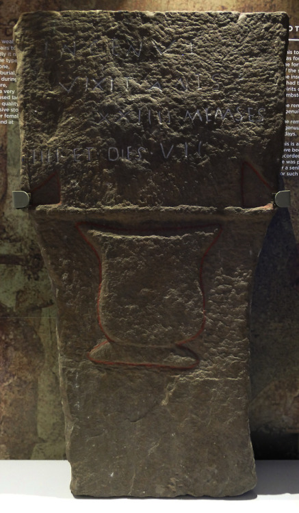 thesilicontribesman:Gravestones and Altar Stones at Vindolanda Roman Fort, near Hadrian’s Wall