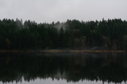 darkcoastphotography:  'Disse Skogene Er Hjemsøkt'Hemer Provincial Park, Vancouver Island, British Columbiatumblr | flickr | facebook | society6 | instagramDo Not Remove My Credits