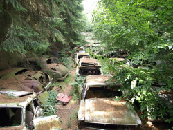 esalejarbo:  Chatillon Car Graveyard  cars,  