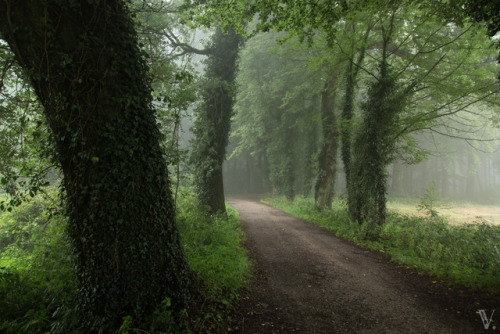 Late Summer in #Twente. Have a great Fall!