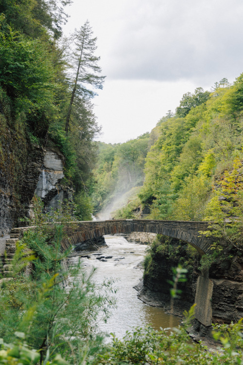 rootlessly: letchworth state park ⋇ 08