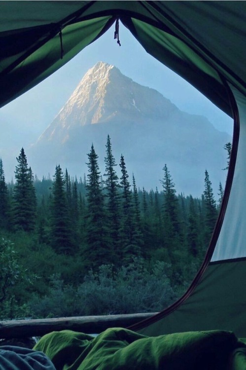 Need to go Camping like this hawti.tumblr.com