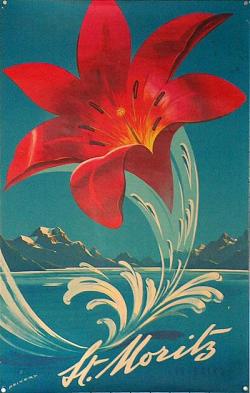 marcedith:  …St. Moritz-Red Flower… 