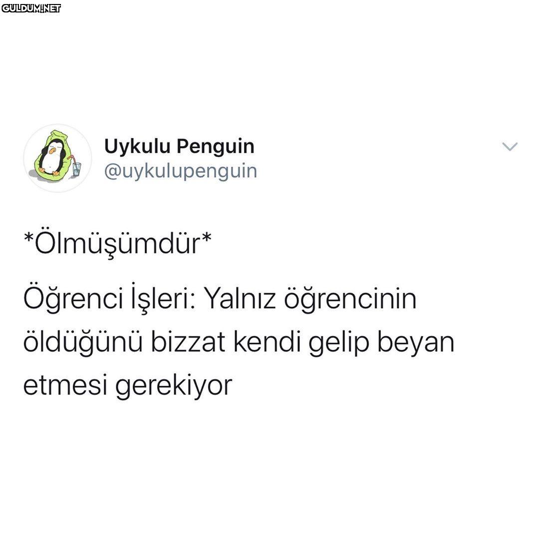 Uykulu Penguin...