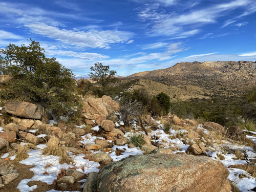 Rocky ridge above Paige Creek, Rincon Mountains, Arizona.