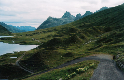 foxmouth:  Austria, 2014 | by Ingeborg Klarenberg