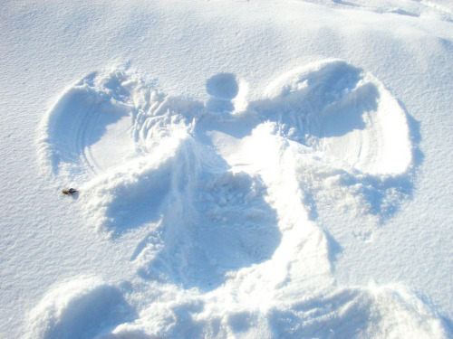 “Snow angel.” Photograph by Saskia Heijltjes; saskiavandenieuwenhof/Flickr. View more An