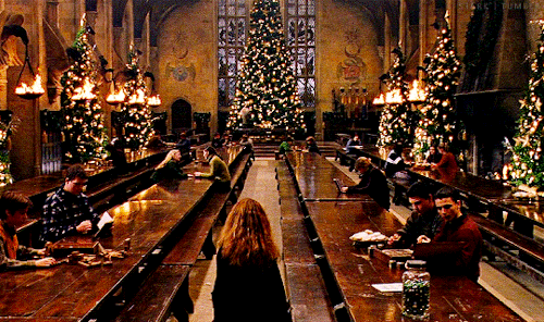 obiwan:  The hall looked spectacular. Festoons of holly and mistletoe hung all around the walls, and no less than twelve towering Christmas trees stood around the room, some sparkling with tiny icicles, some glittering with hundreds of candles.