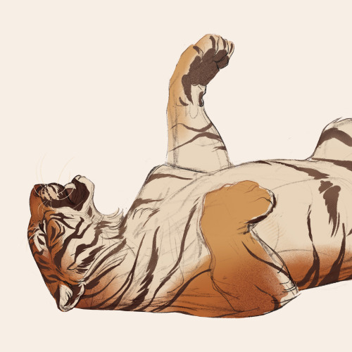 I’ve used my time as best as I could and drew The World’s Best Big Cats. Lazy burrito cats