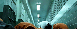 Frankcastledaily:  Frank Castle Vs The World