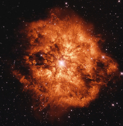 wilwheaton:just–space:WR124 and its surrounding wind nebula M1-67 jsyeah but all i see is adm