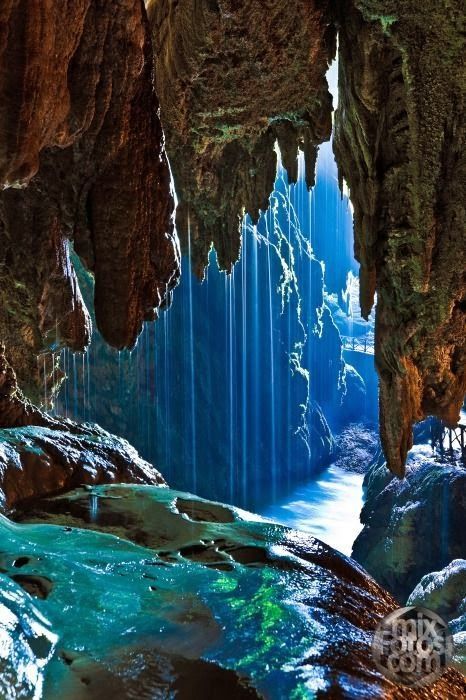 janetmillslove:  Iris Cave – Monaster moment love. Wild Fauna Love 
