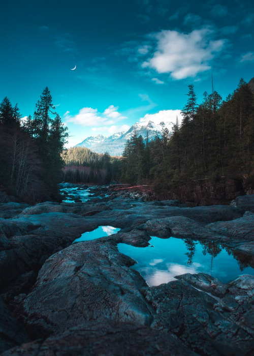 coiour-my-world:Clayoquot Plateau Provincial Park | Canada | calibreus
