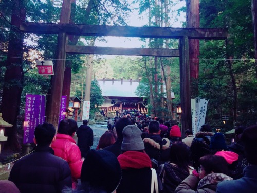 新年あけましておめでとうございます！ 今日は毎年お世話になっている神社で初参りをした後、今年はお雑煮作り担当だったので皆のお雑煮を作って一息。 年末年始は久々に家族とゆっくり過ごせました◎ ぽつぽつと