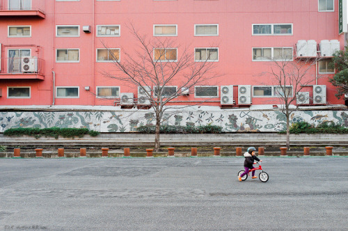 Winter Day in Ryougoku