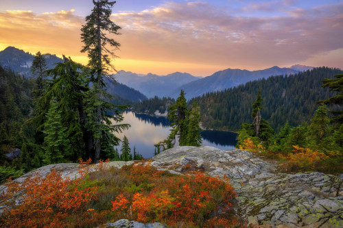 Porn expressions-of-nature:Mount Rainier National photos