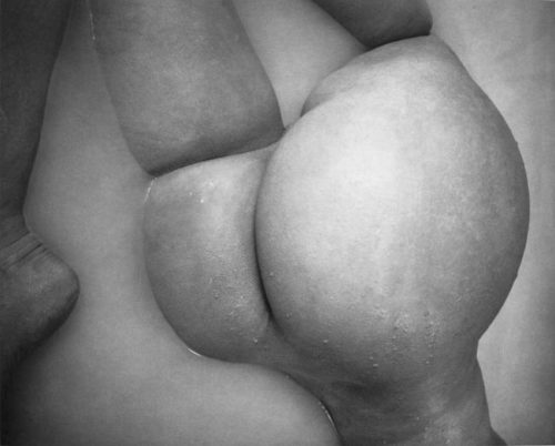 nevver:  Shapes of things, Hermann Forsterling 