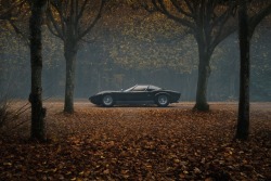 carsonlycars: LAMBORGHINI MIURA SV