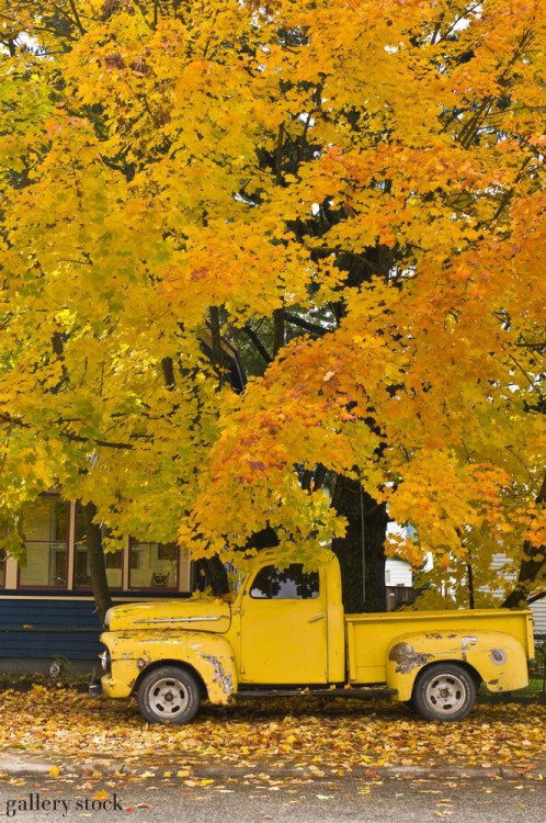 Dan Rafla: An old, weathered truck is parked on a road under a colorful tree