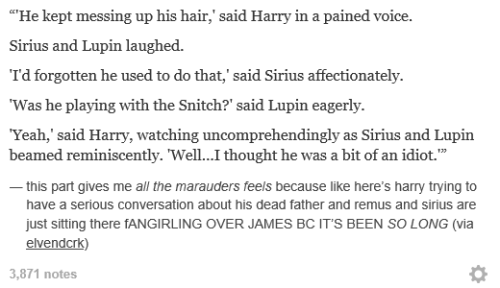 hugvvarts:favourite harry potter text posts on tumblr -> part 2 - marauderspart 1