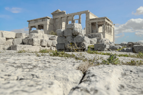 The Erechtheion, Acropolis of Athens, GreeceMore Athens & Greece here