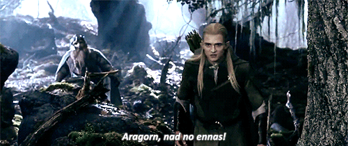 theheirsofdurin:  Aragorn, something is out there!- What do you see? 