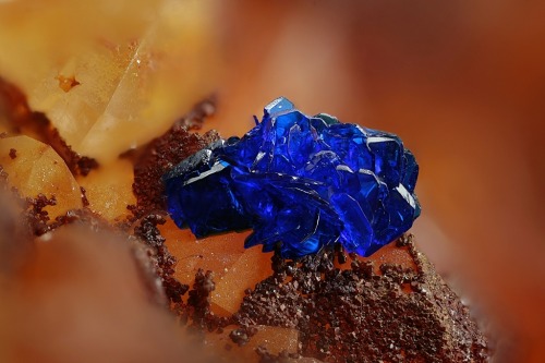 underthescopeminerals:    Azurite   Locality:Clara Mine, Rankach valley, Oberwolfach, Wolfach, Black Forest, Baden-Württemberg, Germany    Photo: Michael Förch  