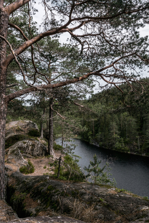 widok na jezioro Hauktjern