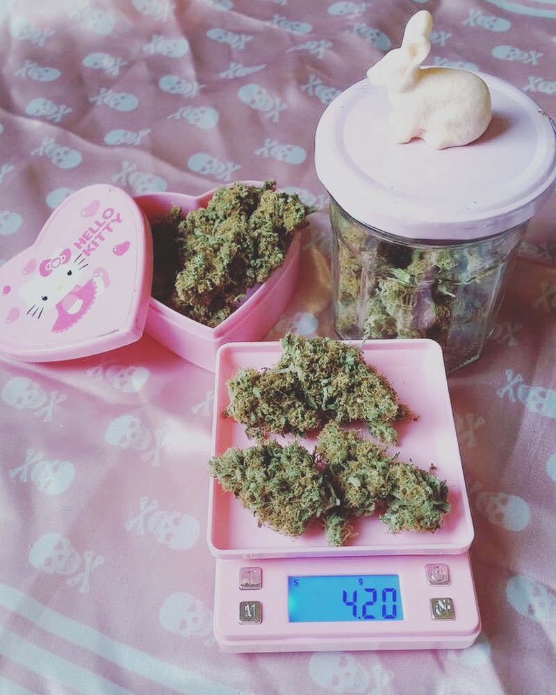 Monte Swisha