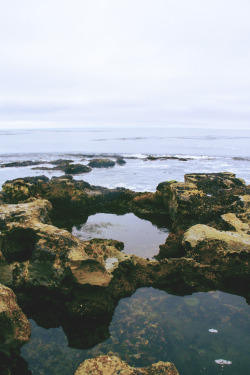 northwezt:  Natural Bridges State Beach Santa Cruz, CA (July 2, 2014) 